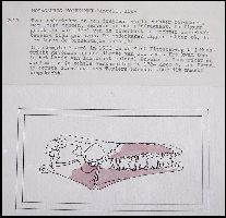 tm-003a.jpg (17588 bytes)