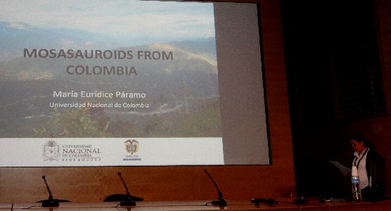 04Paramo_presentationa.jpg (28455 bytes)
