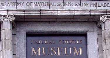 ansp-01a.jpg (13347 bytes)