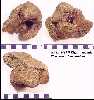ansp848a.jpg (3086 bytes)