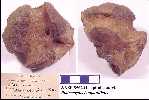 ansp856a.jpg (3839 bytes)