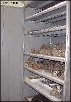 cabineta.jpg (5667 bytes)