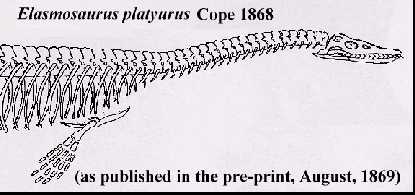 cope69a3.jpg (15787 bytes)