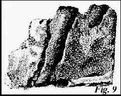 copefig9.jpg (14776 bytes)