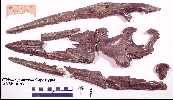 cp10193v.jpg (5185 bytes)