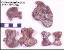 cp10193z.jpg (3750 bytes)