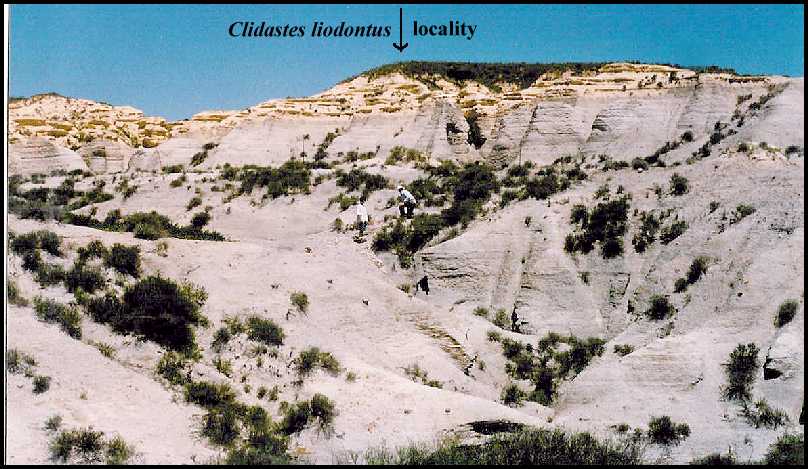 clistrat.jpg (73077 bytes)