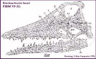 brachau3.jpg (18602 bytes)