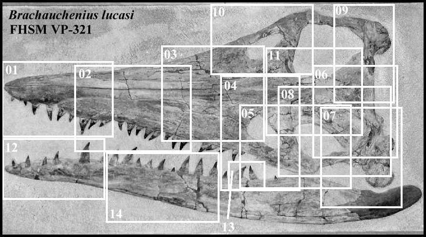 vp321-00.jpg (67736 bytes)