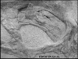 vp32108a.jpg (9808 bytes)