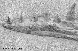 vp32112a.jpg (13726 bytes)
