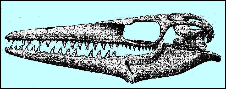 3clid01.jpg (89550 bytes)