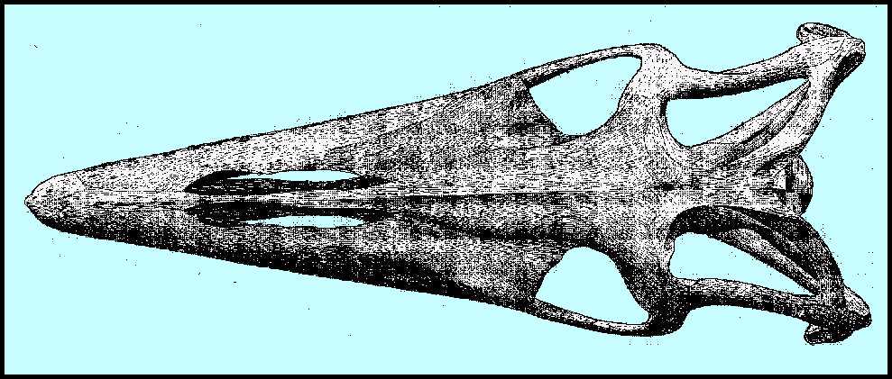 3clid02.jpg (94172 bytes)