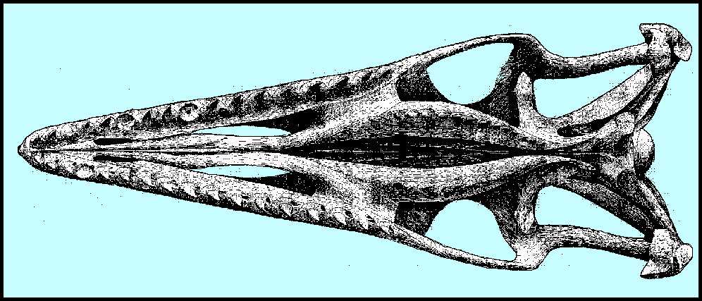 3clid03.jpg (99307 bytes)