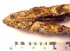 muzzle2a.jpg (3644 bytes)