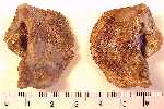 quads01a.jpg (4373 bytes)