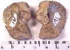 quads02a.jpg (3881 bytes)