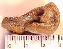 quads04a.jpg (3340 bytes)
