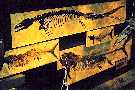 displaya.jpg (4519 bytes)
