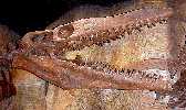 oceans2a.jpg (5199 bytes)