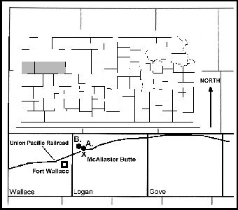 figure3a.jpg (20703 bytes)