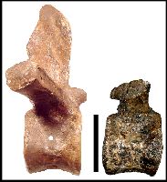 figure4a.jpg (10869 bytes)