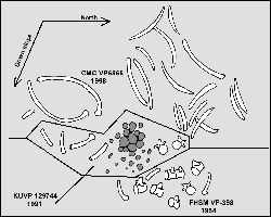 figure6a.jpg (15473 bytes)