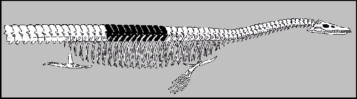 figure7a.jpg (32291 bytes)