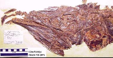 VP2971A.jpg (28686 bytes)