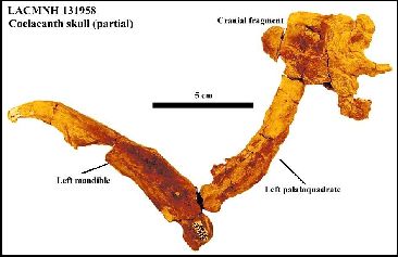 131958-4a.jpg (18912 bytes)