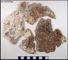 KU127042-1a.jpg (16674 bytes)