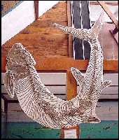 bonner1a.jpg (9823 bytes)