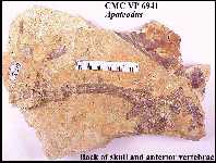 cmc6941z.jpg (7841 bytes)