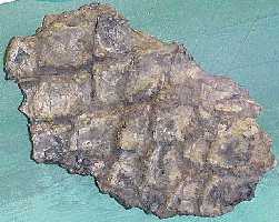 garscala.jpg (11115 bytes)