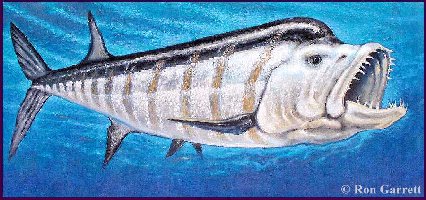 garret1a.jpg (38548 bytes)