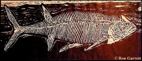 garret2a.jpg (49163 bytes)