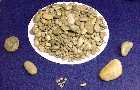 gastro2a.jpg (3753 bytes)