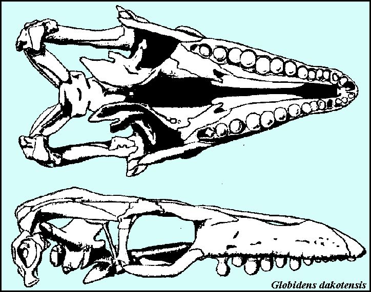 glob-dak.jpg (109562 bytes)