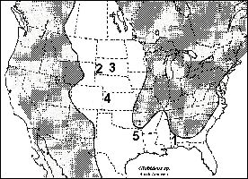 map1a.jpg (28088 bytes)