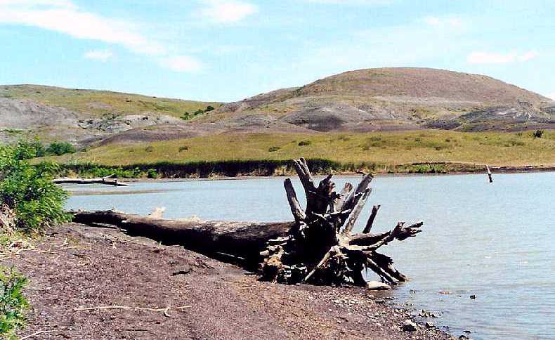 big_bend.jpg (64909 bytes)