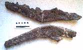 jaws1a.jpg (3858 bytes)