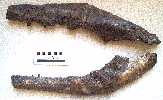 jaws2a.jpg (4072 bytes)