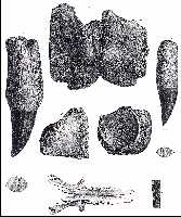 tab_ixa.jpg (9798 bytes)