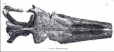 tab_via.jpg (20523 bytes)