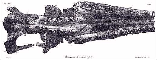 tabviiia.jpg (26249 bytes)