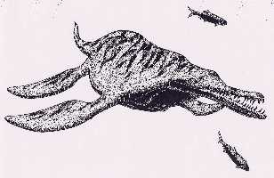 dolicho5.jpg (10687 bytes)