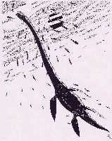 elas-a.jpg (7761 bytes)