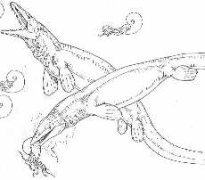 tateplaa.jpg (7020 bytes)