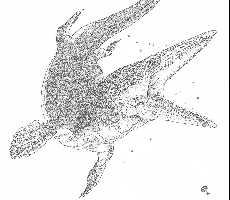 tylo-b0a.jpg (8047 bytes)
