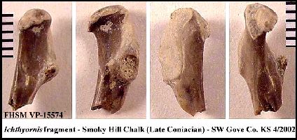 BIRD2002a.jpg (28990 bytes)
